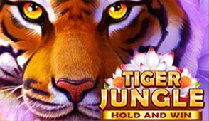 Tiger Jungle